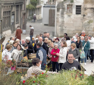 Article Vert Distribution Bulbes Plantes 2025