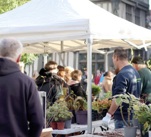 Grand Angle Distribution Bulbes Octobre 2025