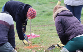 Article Vert Plantation Citoyenne Place des Animations Valmeux 13 Décembre 2025