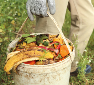 Zero,Waste,,Composting,,Bio,Waste,Concept.,Farmer,With,Vegetables,And