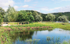 Article Vert Citation Fonderie Rapport Oxfam Villes Résilientes