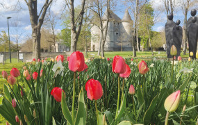 Grand Angle Tourelles