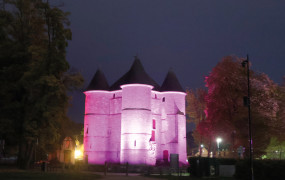 Article Vert Contrat de Performance Energétique Bilan Sobriété Economies