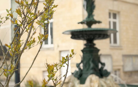 Fontaine Ouverture Printemps 2026