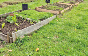 nouvel article vert manufacture des capucins